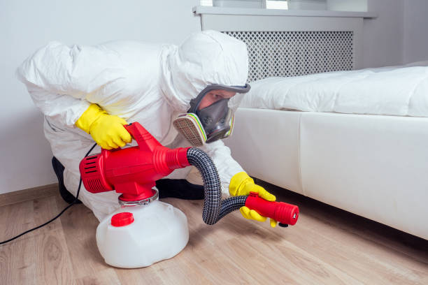 Best Flea Control Services  in Newark, DE