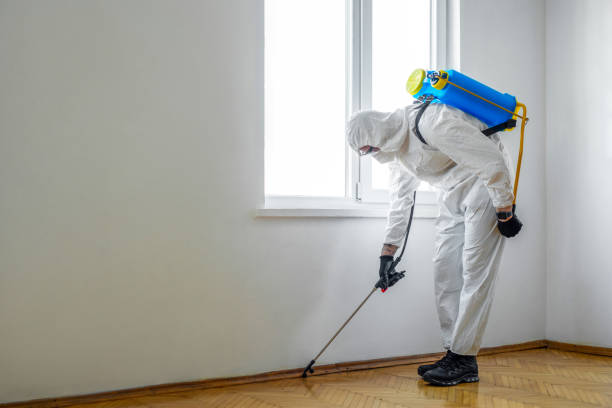 Best Pest Removal Services  in Newark, DE