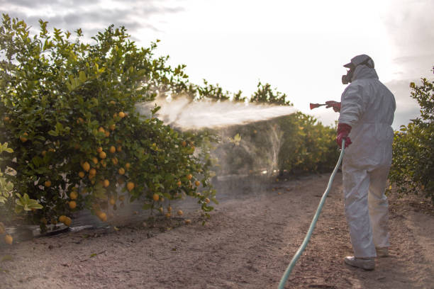 Best Mosquito Control Services  in Newark, DE