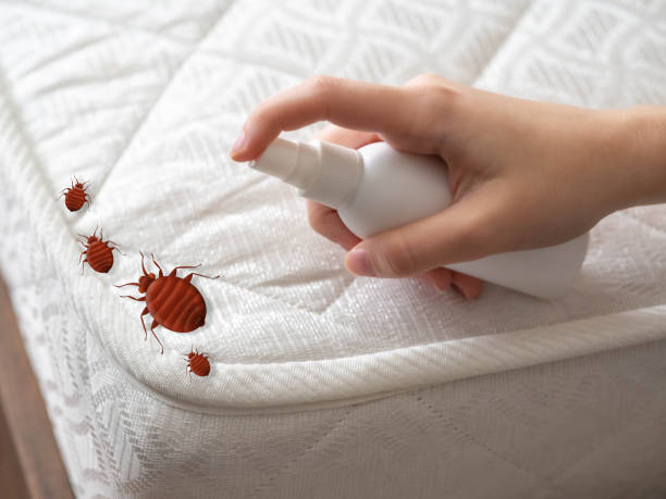 Trusted Newark, DE Pest Control Experts