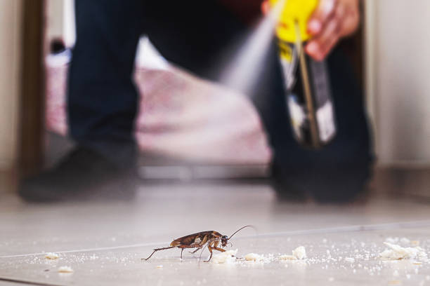 Best Best Pest Control Companies  in Newark, DE